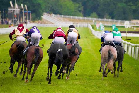 Racing Tips: Andrew Mount’s Friday Picks – December 15th.